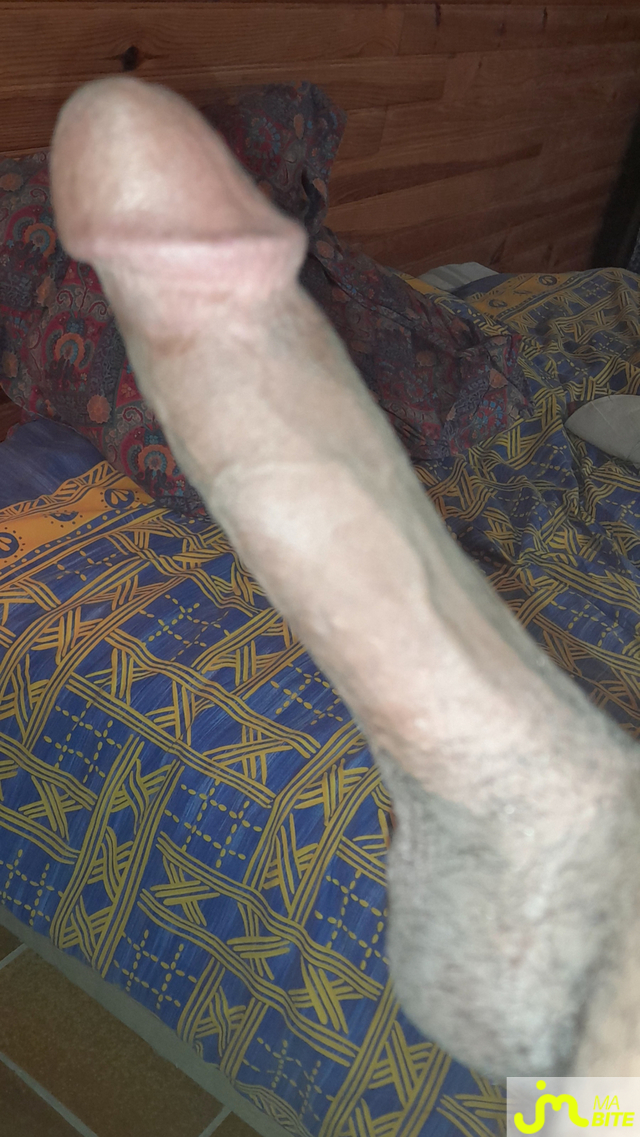bites de &Eacute;rictismey