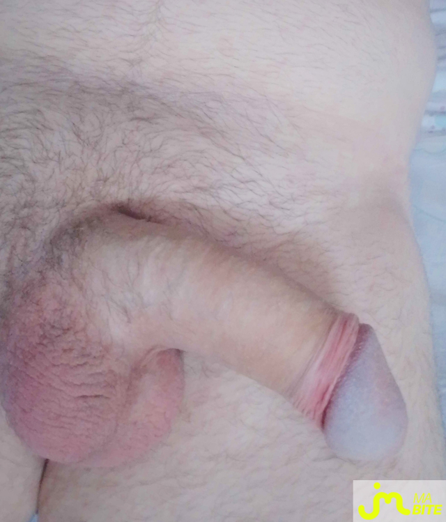 bites de Petit dragon 