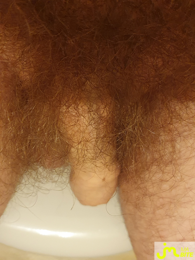 Photos de bites : Fin des vacances, petite forme...