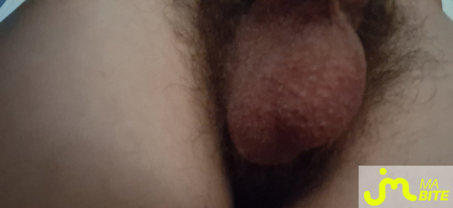 bites de Nexa