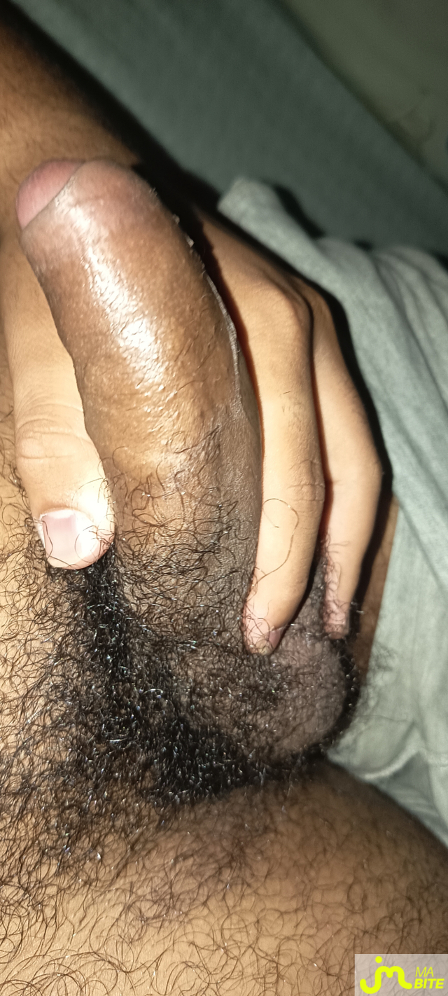 bites de fly9741000
