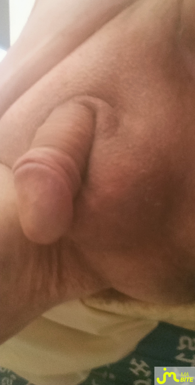 bites de zeub84