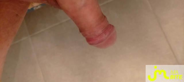 bites de zeub84
