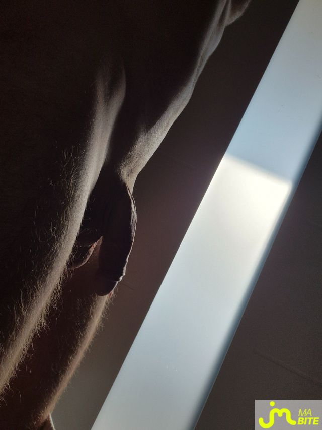 bites de Senso10