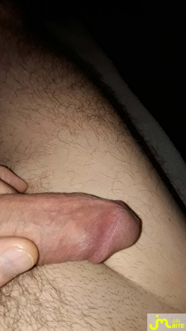 bites de BiteduVaucluse 