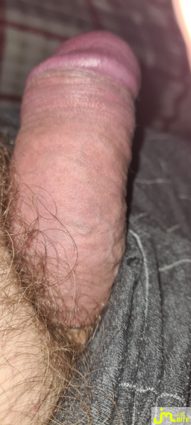 bites de Olive40