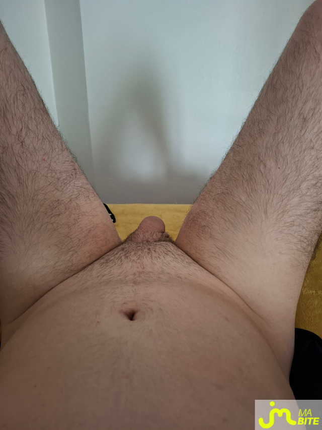 bites de MiscoX53S