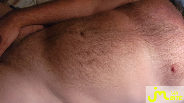 bites de mister8304
