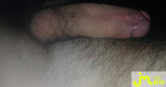 bites de Seb30100