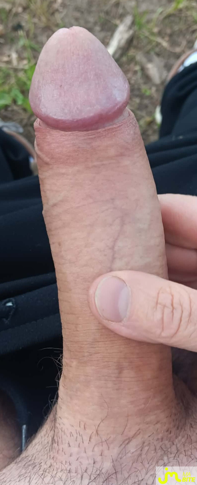bites de Tigre+20