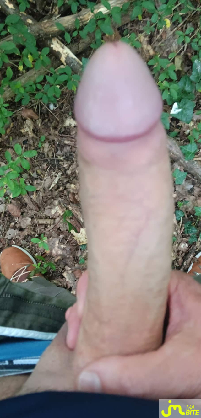 bites de Tigre+20