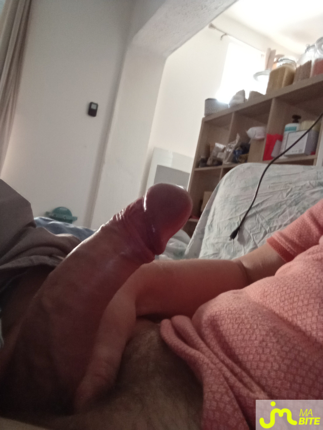 bites de Femto