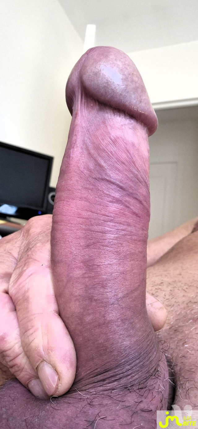 bites de dinky56