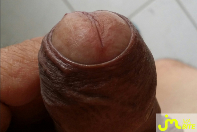 bites de ricou47