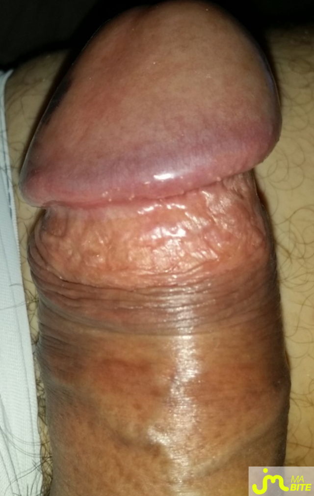 bites de ricou47