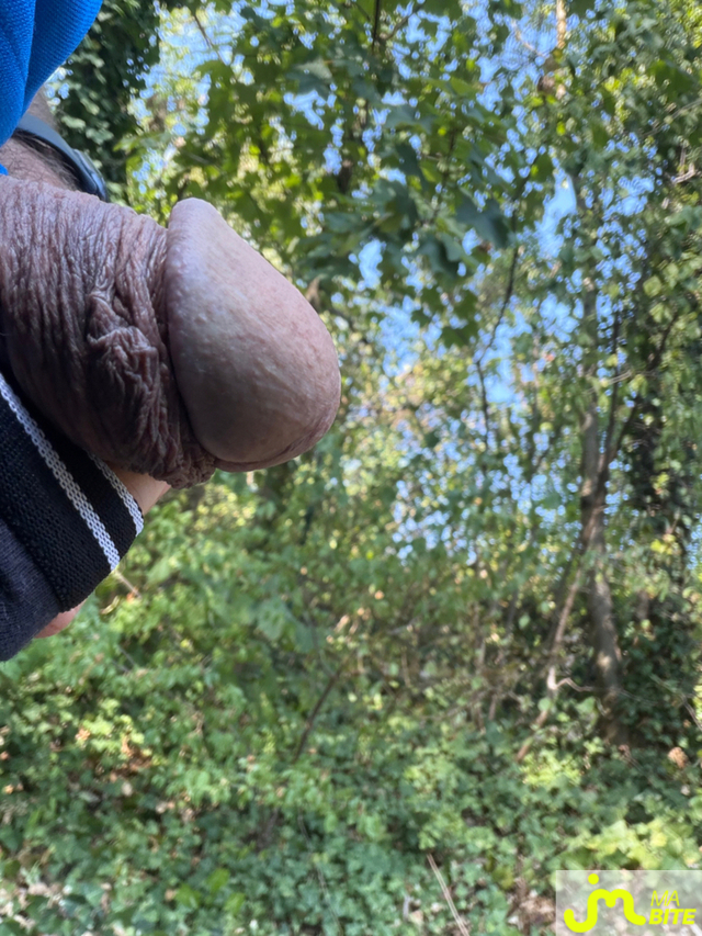bites de Mau6950