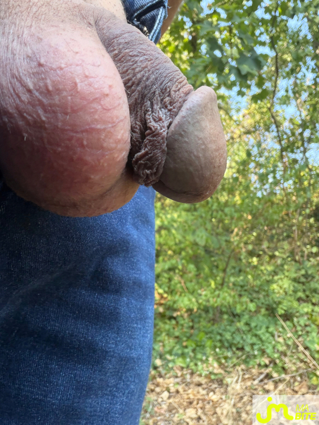 bites de Mau6950