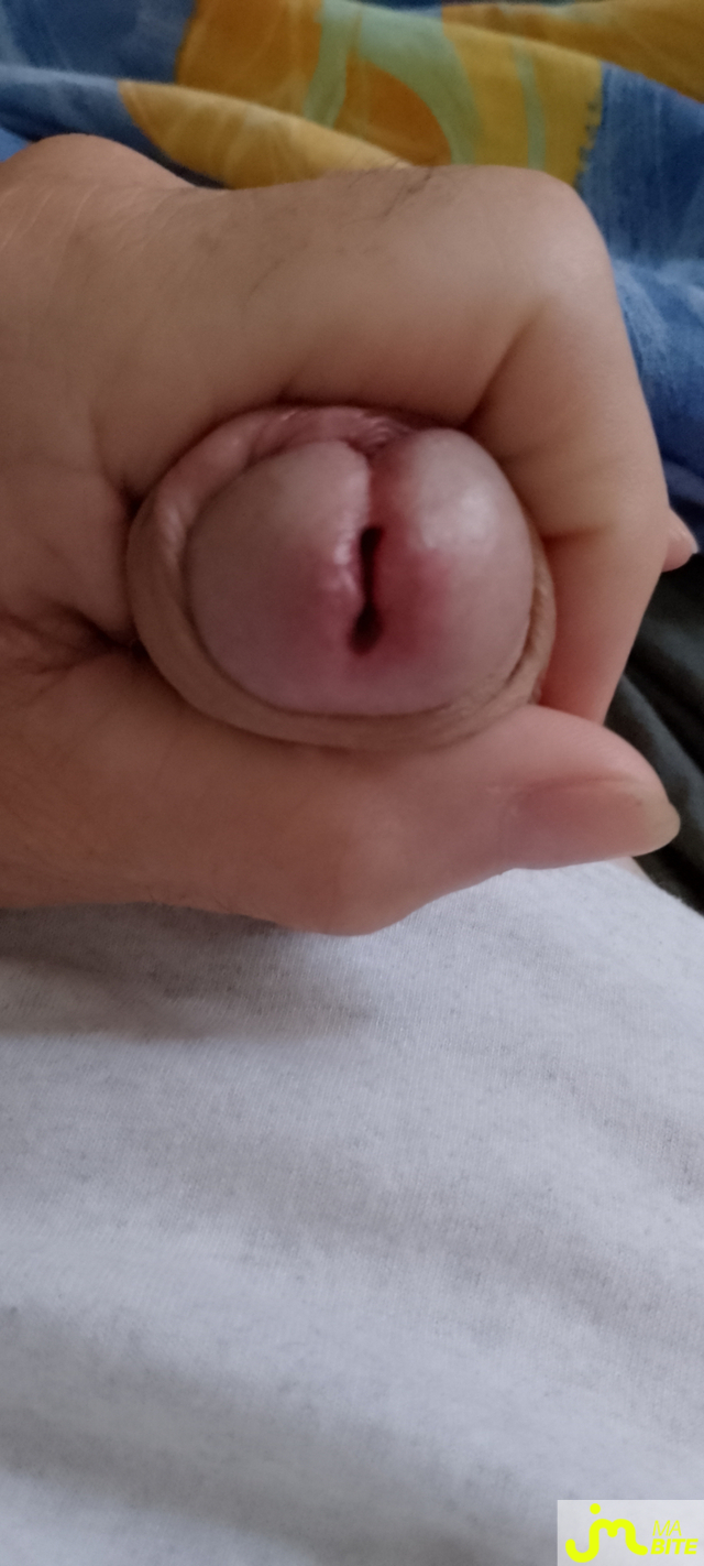 bites de Veys 59