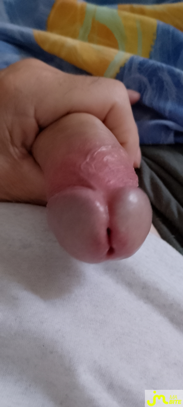 bites de Veys 59