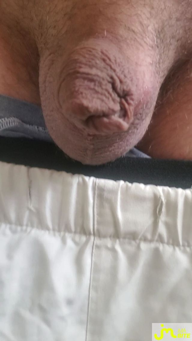 bites de Queute19