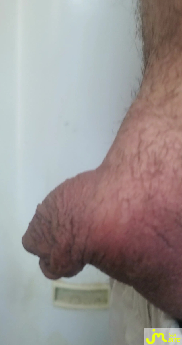 bites de Queute19