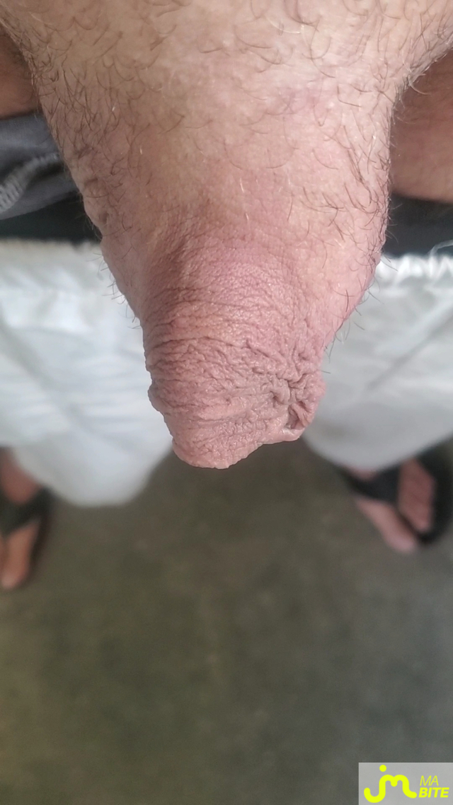 bites de Queute19