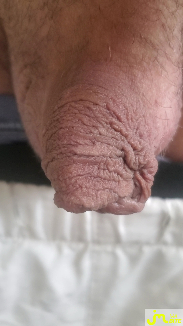 bites de Queute19