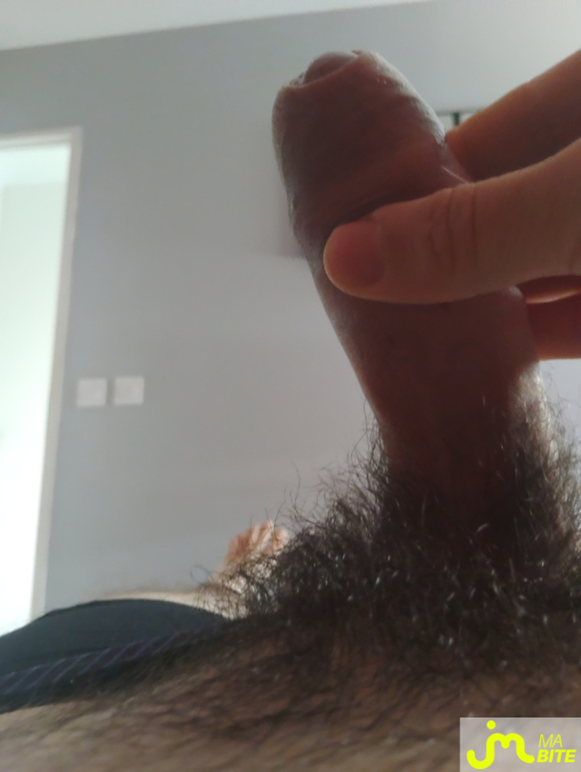 bites de Patt8131