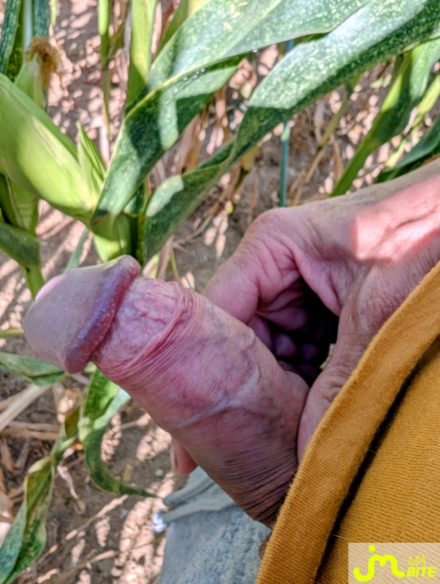 bites de DocPopol