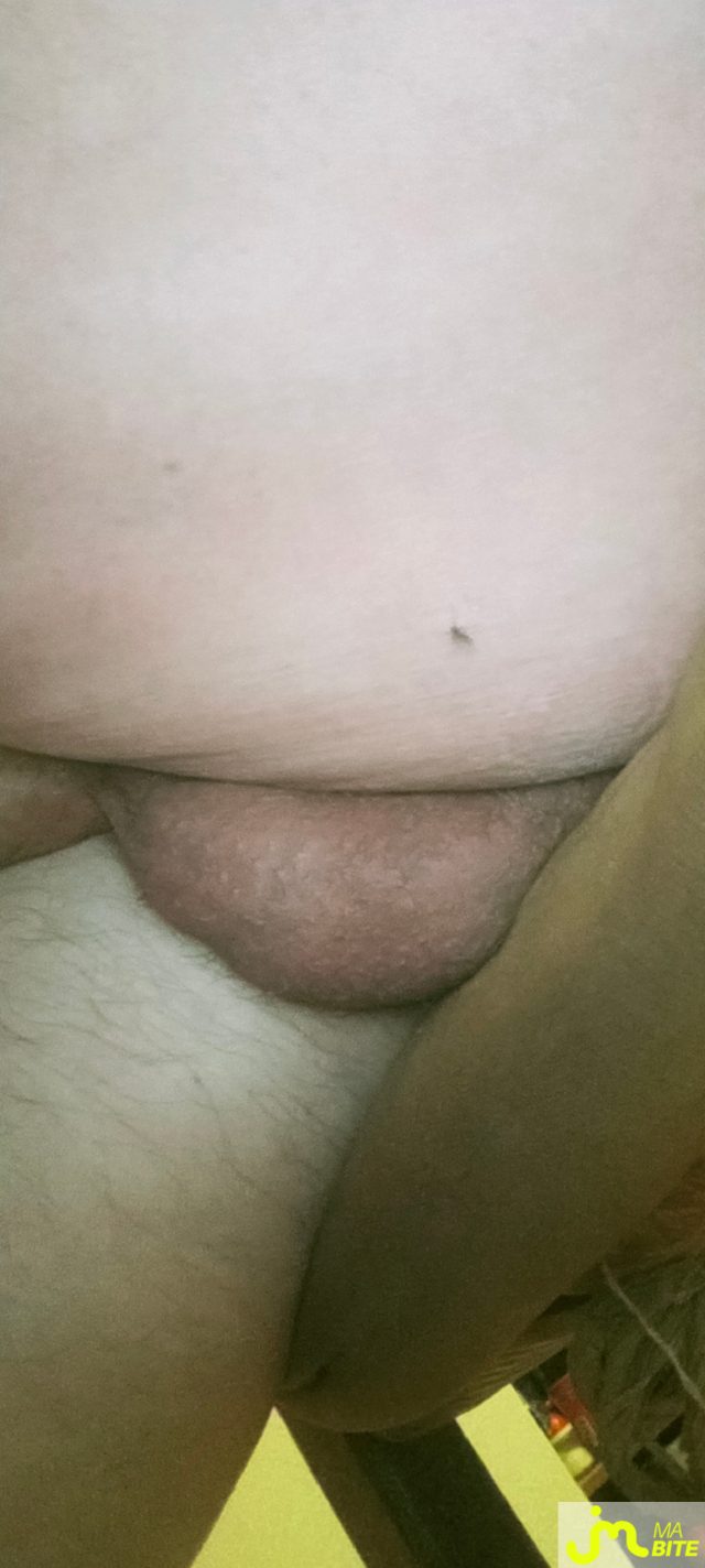 bites de zeub84