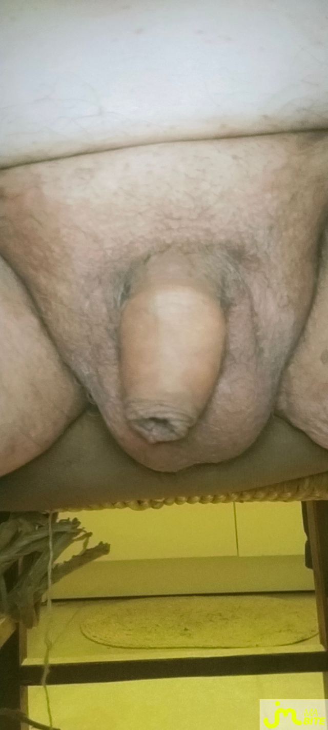 bites de zeub84