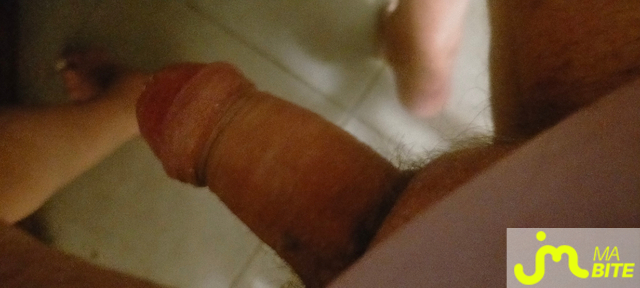 bites de zeub84