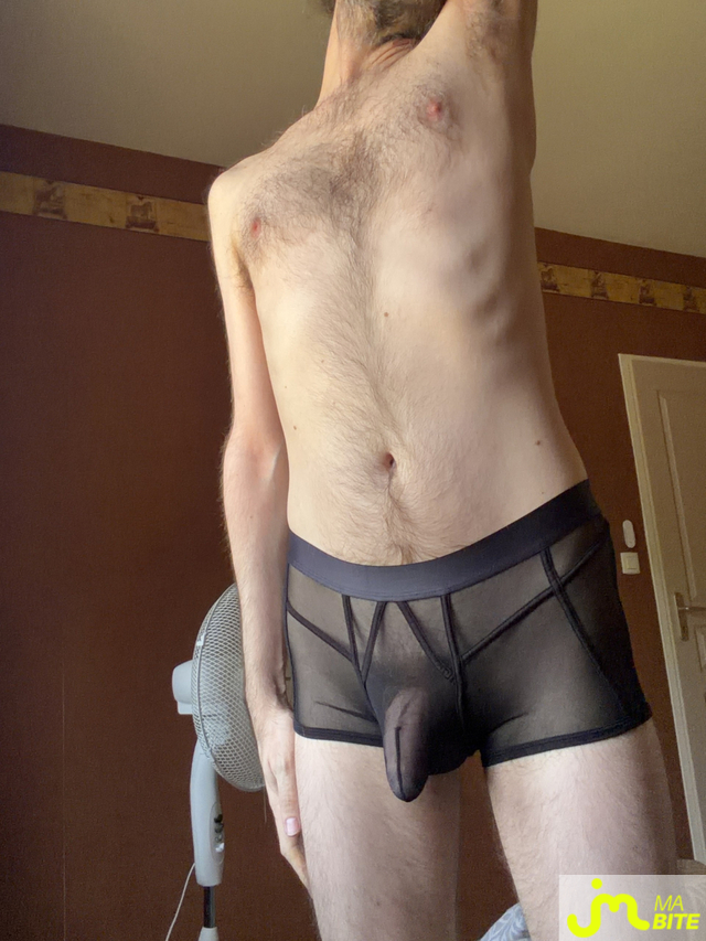 bites de hummmm65