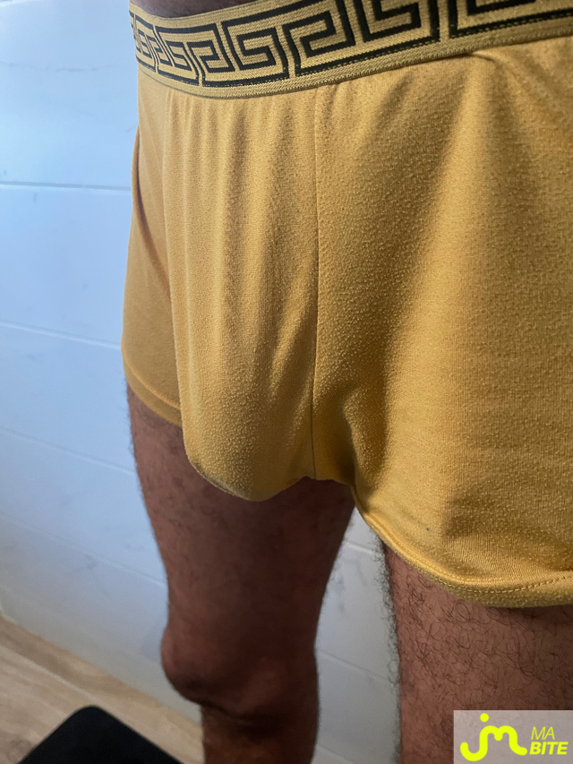 bites de Le loup 