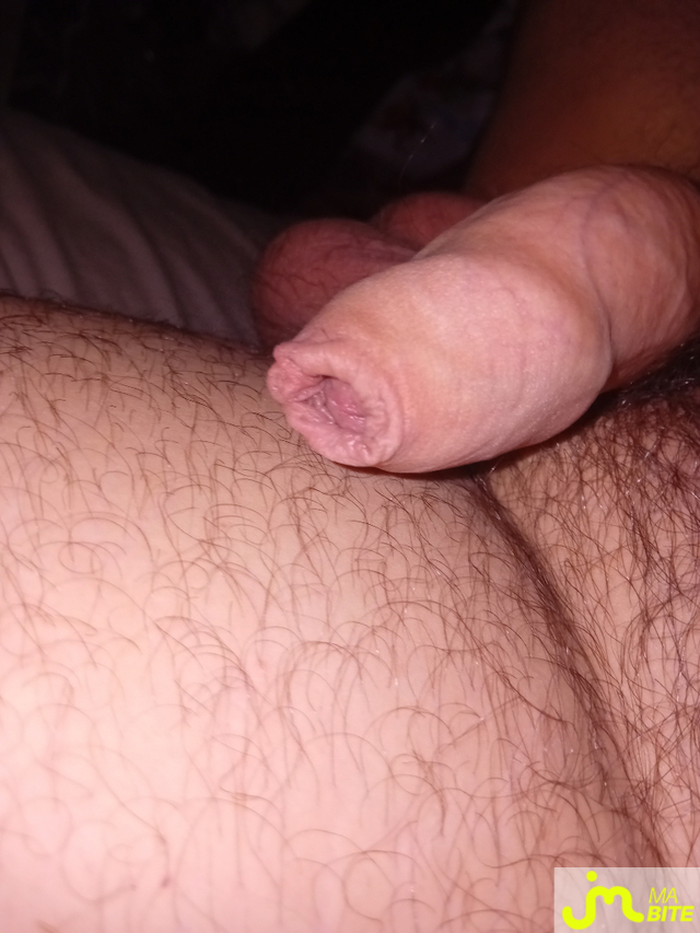 bites de Gt04