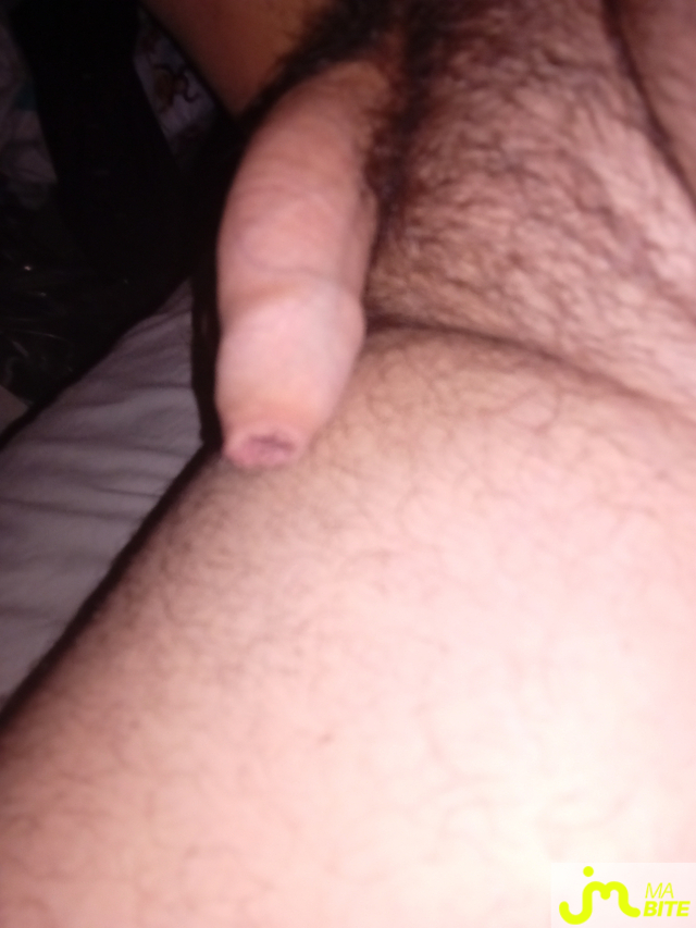 bites de Gt04