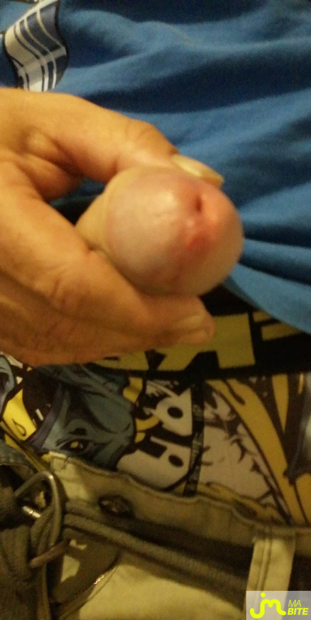 bites de Stephbicurieux