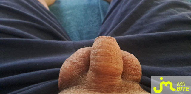 bites de Ma biroute 59