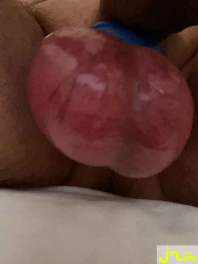 bites de Mau6950
