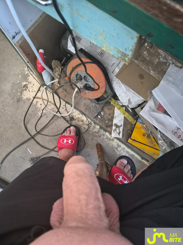 bites de libre702125