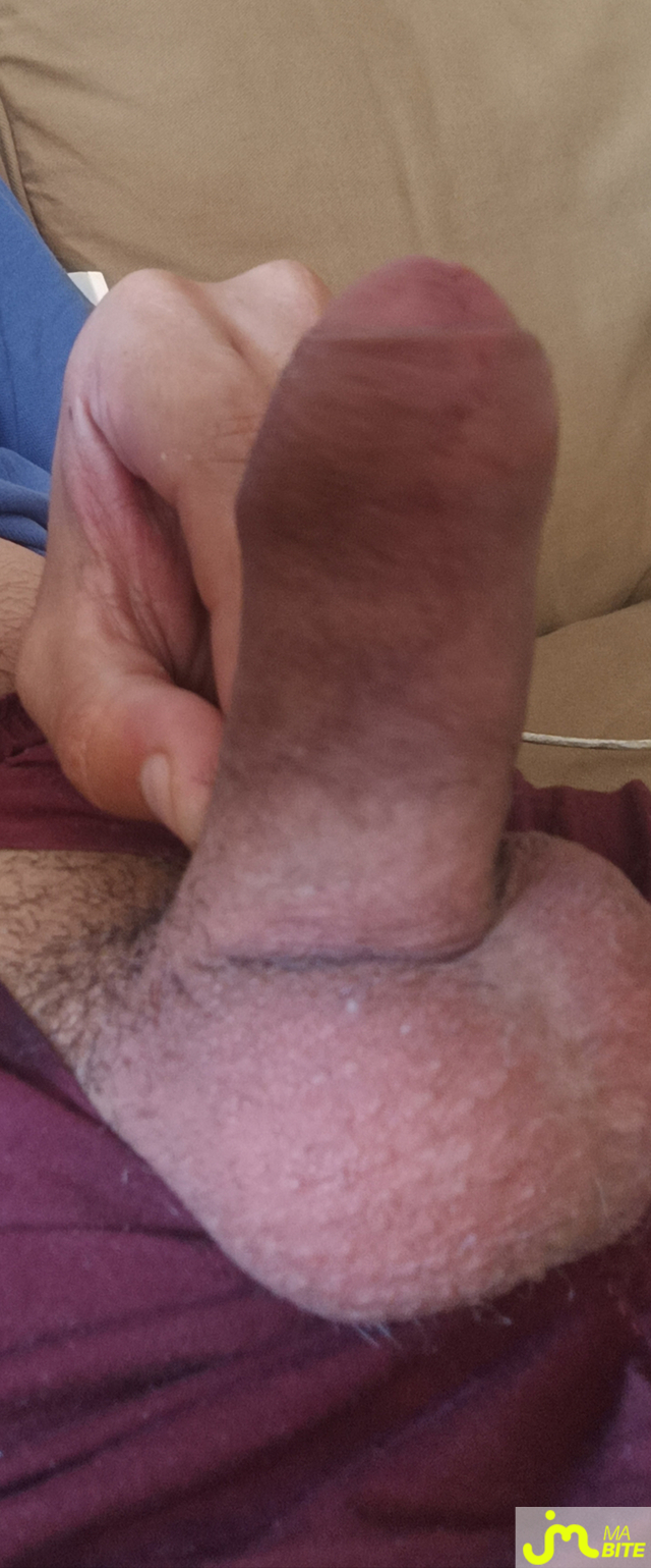 bites de rparo
