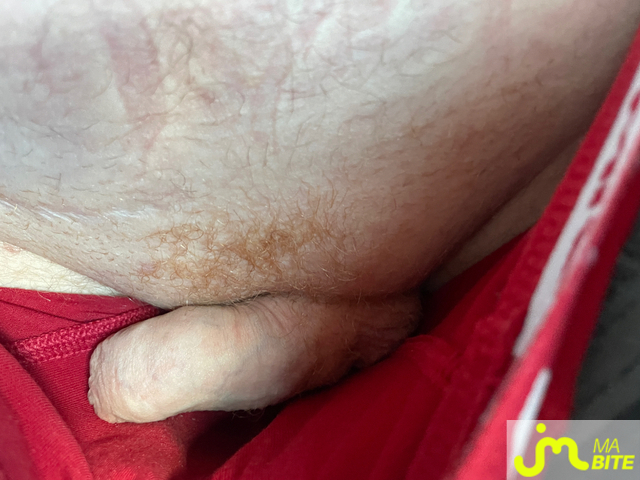 bites de Couccou59
