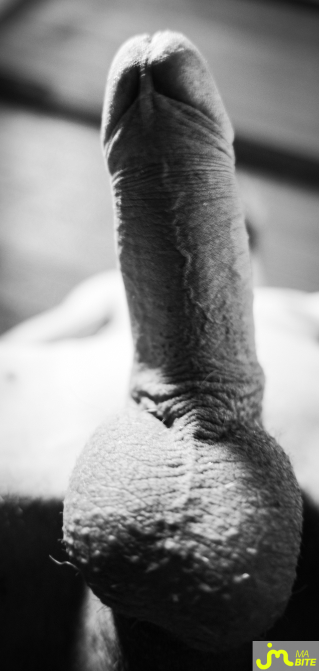 bites de fay_a1a