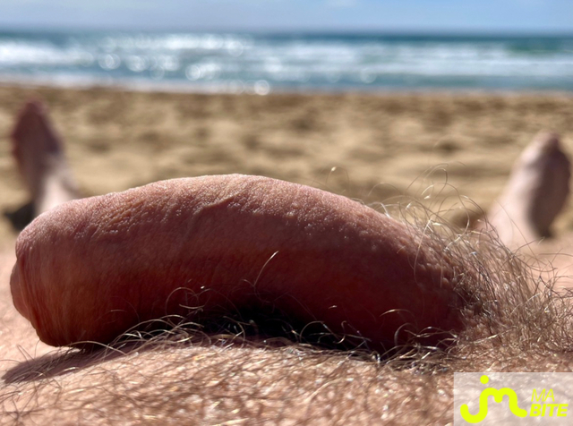 bites de Carpediemforever