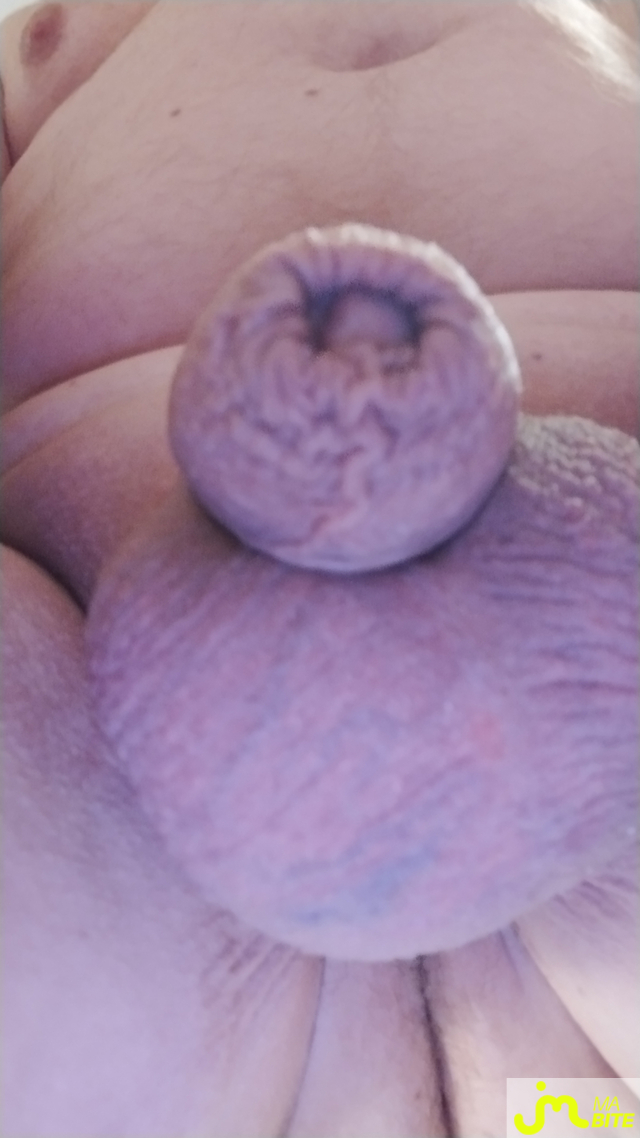 bites de Fox56