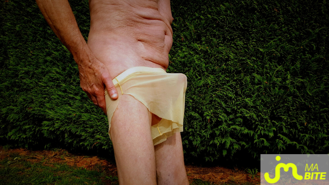 bites de Vxm&acirc;lebi46