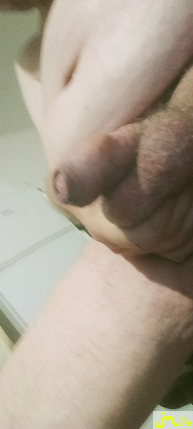 bites de zeub84