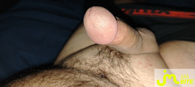bites de Bibi08