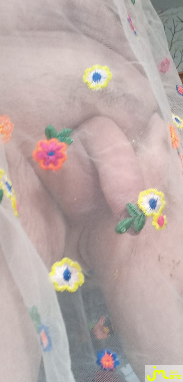 Photos de bites : Suite au premier. 