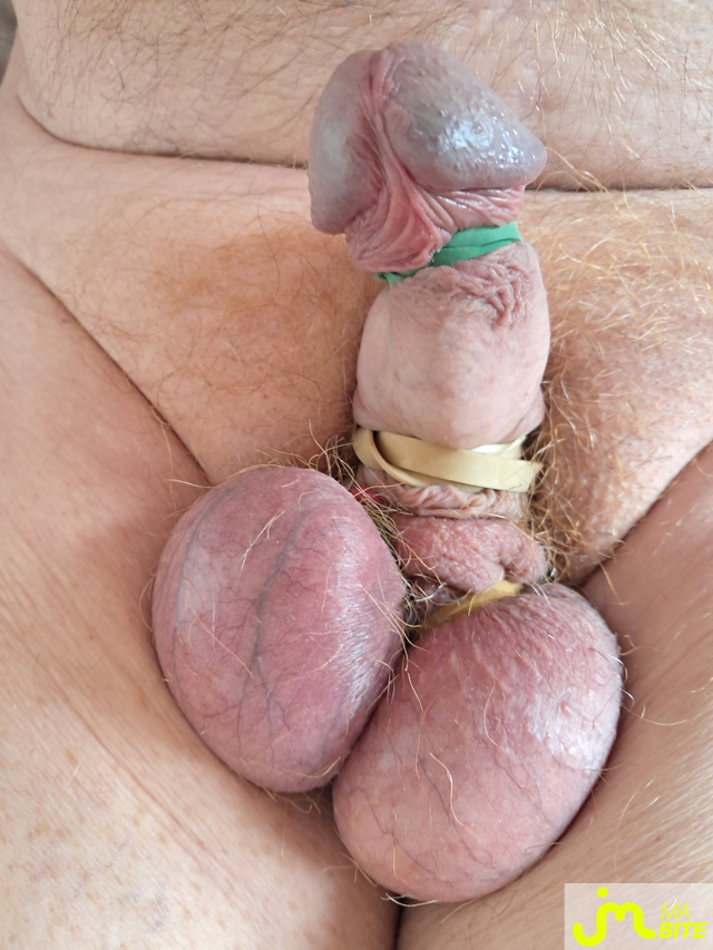 Photos de bites : Jeux d'&eacute;lastiques